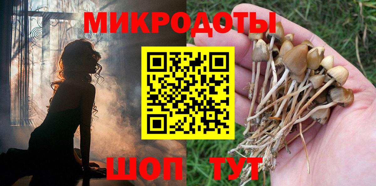 Псилоцибиновые грибы ЛСД Берёзовский