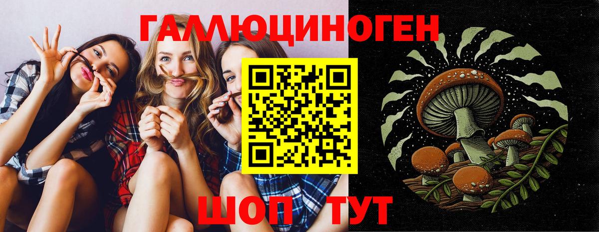 Псилоцибиновые грибы Psilocybine cubensis  Вход с VPN  Берёзовский 