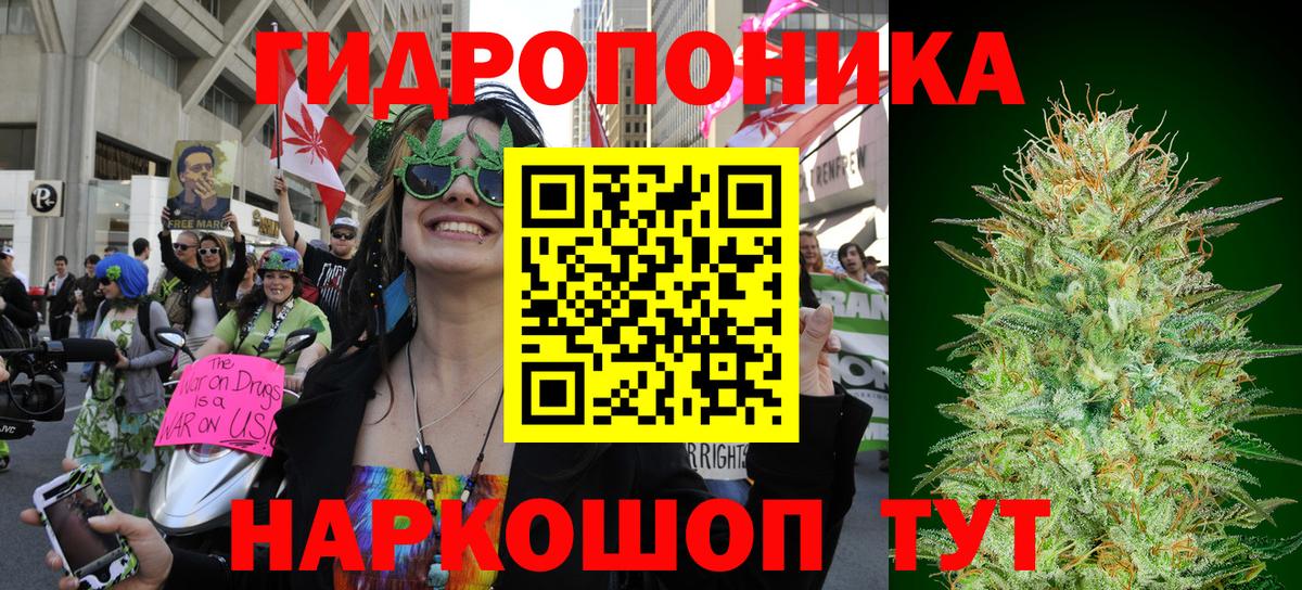 Бошки Шишки VHQ  Вход с VPN  Шишки марихуана сатива  Шишки марихуана сатива  Берёзовский 
